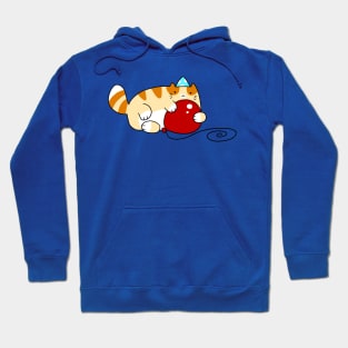 Birthday Orange Tabby Hoodie